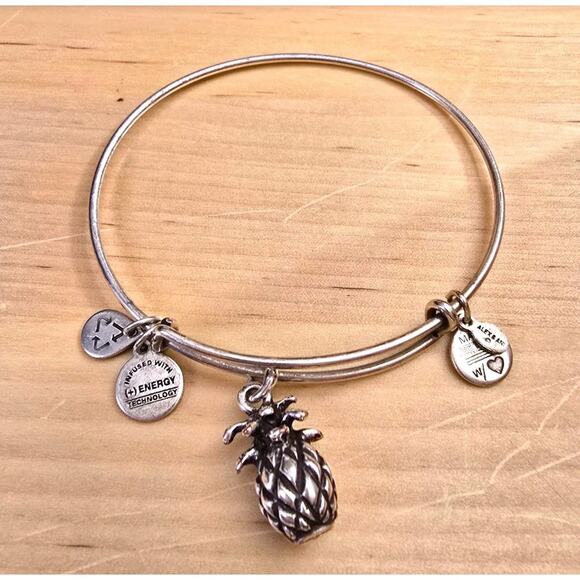 Alex and Ani Jewelry - Pineapple Charm Bracelet Alex and Ani Vintage Silver Tone Adjustable 7" Long